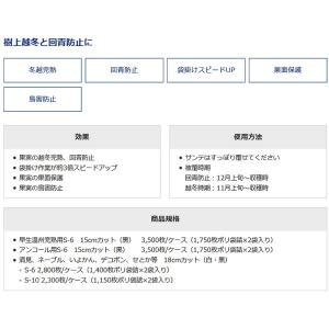 2800枚 果実袋 サンテ S-6 18cm ...の詳細画像3