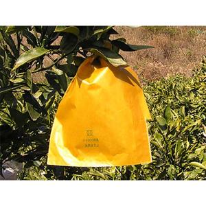 2500枚 果実袋 柑橘用掛袋 KSHW#6 ...の詳細画像1