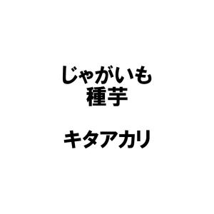 2kg 種芋 キタアカリ M玉 じゃがいも ジャガイモ 栽培用 春ジャガ 米S Z (登録品種名:キタアカリ)