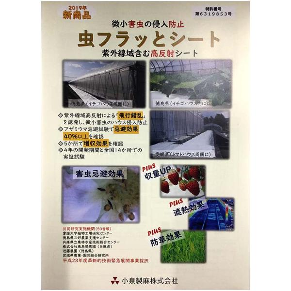 虫フラッとシート 防虫 防草シート 白×白 幅100cm×100m 小泉製麻 個人宅配送不可 代引不...