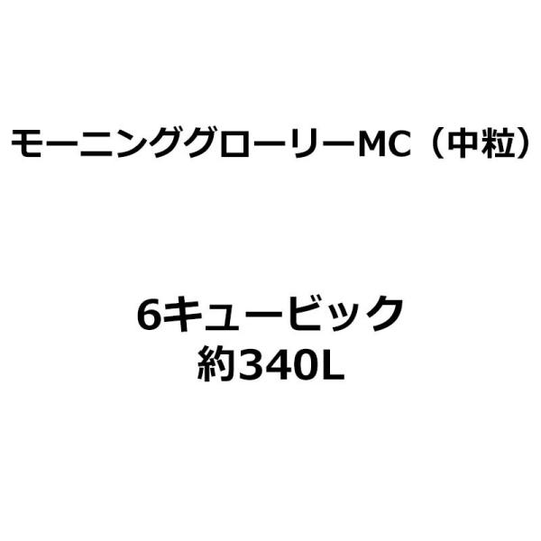 2袋 モーニンググローリーMC (中粒) 6キュービック 約340L ピートモス イノベックス 肥料...