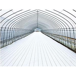 ダイオ グランドシート α アルファ ホワイト 白 400cm×100m 防草シート 反射シート イ...