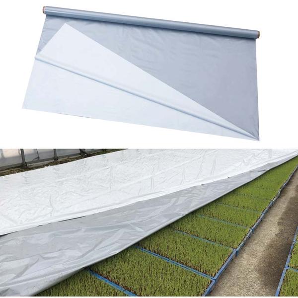 ハイホワイトシルバー 2.7×100m 育苗用シート 水稲用 苗焼け防止 高反射 保温 地温抑制 夜...