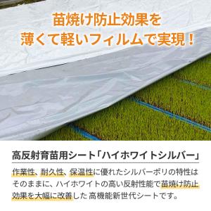 ハイホワイトシルバー 2.7×25m 育苗用シ...の詳細画像1