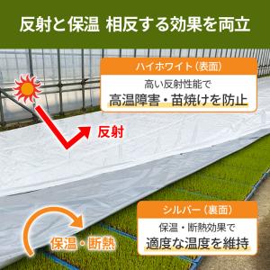 ハイホワイトシルバー 2.7×25m 育苗用シ...の詳細画像2