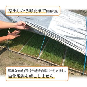ハイホワイトシルバー 2.7×25m 育苗用シ...の詳細画像3
