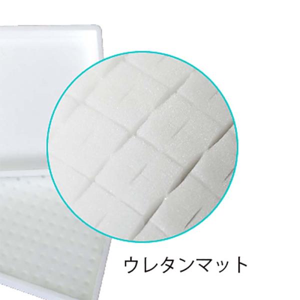 50枚 M式水耕ウレタンマット ネギ 大 用 580×280×26mm 190ブロック 水耕栽培用 ...