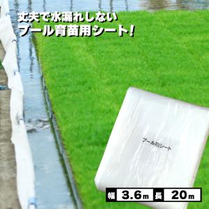高反射育苗用シート ハイホワイトシルバー 岩谷マテリアル Iwatani ハイホワイトシルバー 3.0×50m 育苗用シート 水稲用 苗焼け防止 高反射