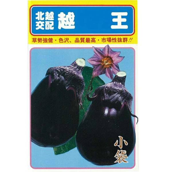 種子 0.6ml ナス 越王 小袋 こしおう 北越交配 栽培用 野菜タネ 野菜種子 野菜のタネ なす...