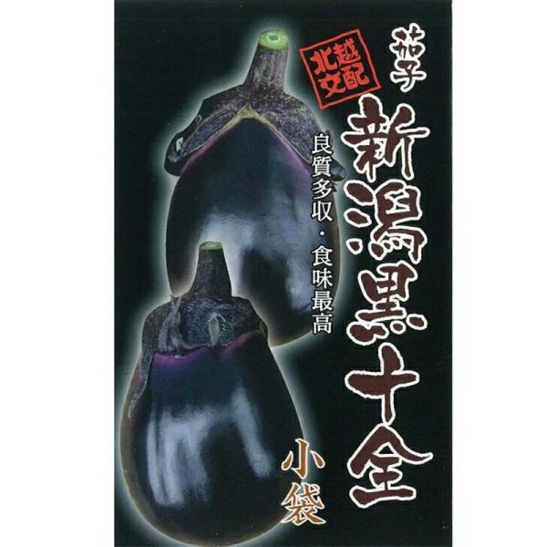 種子 0.6ml ナス 新潟黒十全 小袋 北越交配 栽培用 野菜タネ 野菜種子 野菜のタネ なす 茄...