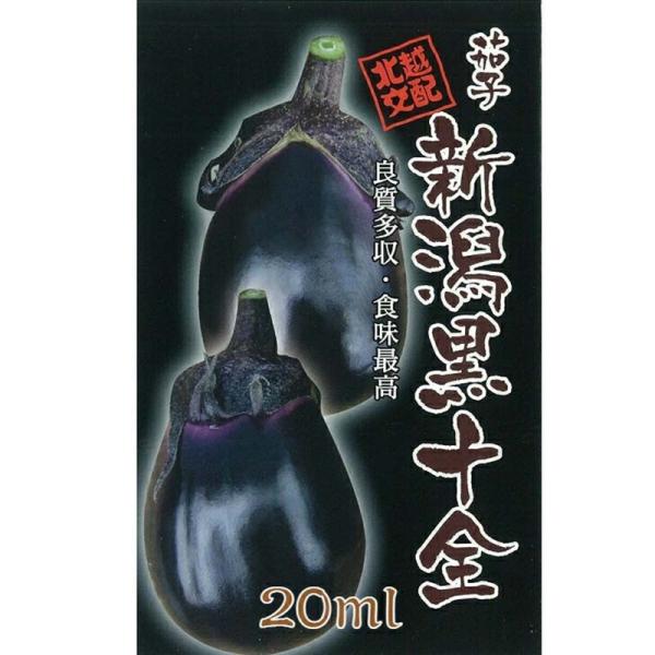 種子 20ml ナス 新潟黒十全 北越交配 栽培用 野菜タネ 野菜種子 野菜のタネ なす 茄子 北越...