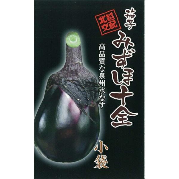 種子 0.6ml ナス みずほ十全 小袋 北越交配 栽培用 野菜タネ 野菜種子 野菜のタネ なす 茄...