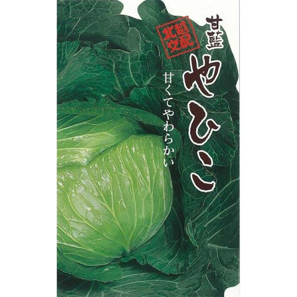 種子 20ml キャベツ やひこ 北越交配 栽培用 野菜タネ 野菜種子 野菜のタネ 甘藍 北越農事 ...