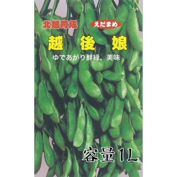 種子 1L 枝豆 越後娘 北越育成 栽培用 野菜タネ 野菜種子 野菜のタネ エダマメ 北越農事 D