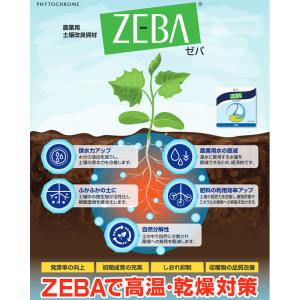 ZEBA 5kg ゼバ 農業用土壌改良資材 高...の詳細画像1