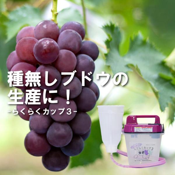＼新商品／ らくらくカップ3 小 ジベレリン 処理器 本体 ぶどう 巨峰 マスカット 種なし ジベ処...