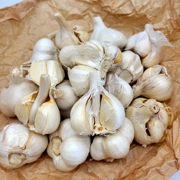 5kg B品 栽培用 ニンニク 青森県産 ホワイト六片 Lサイズ にんにく 球根 種用 吉S DZ