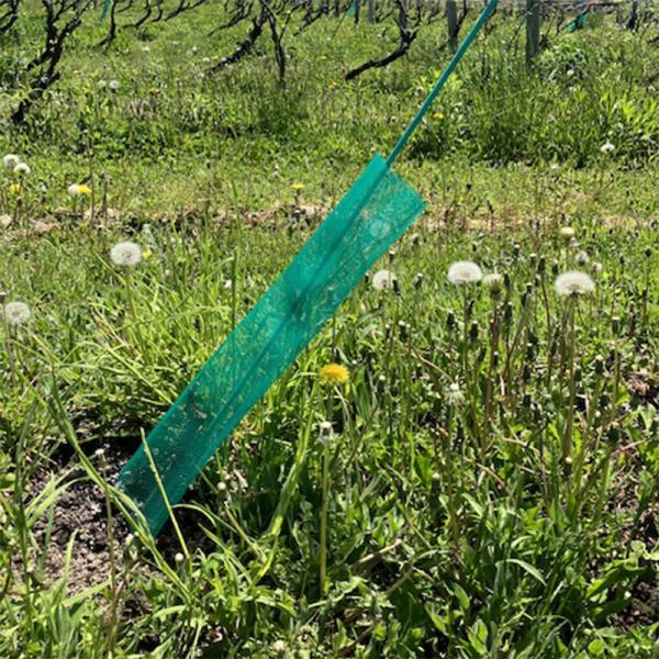 苗木用ネット 500枚  直径12cm×60cm 日鉄物産ワイヤ＆ウェルディング 害獣対策 湿気対策...