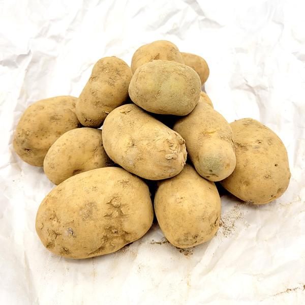 5kg 種芋 アルバン 混玉 ジャガイモ PVP じゃがいも栽培用 吉S DZ (海外持出禁止 登録...