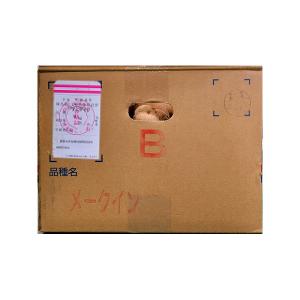 ＼大特価/ 1kg 種芋 メークイン 混玉 B...の詳細画像3