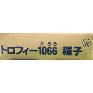 30本 種芋 Mサイズ 長芋 トロフィー 10...の詳細画像1