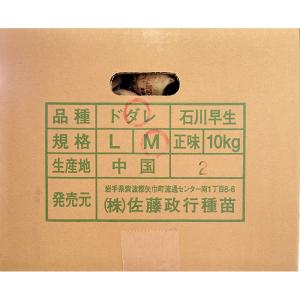 ＼最終大特価/ 1kg 芽出し土垂 Mサイズ ...の詳細画像1