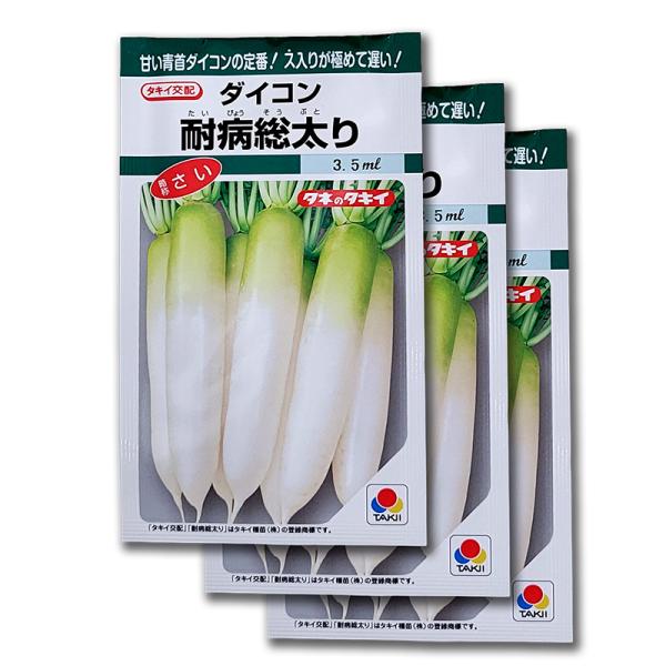 3袋 3.5ml 大根 耐病総太り タキイ種苗 タイビョウソウブトリ 大根 ダイコン 種子 栽培 家...
