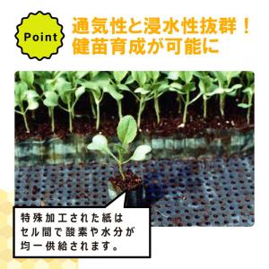 ペーパーポット No.11 11号 1冊 (単...の詳細画像4