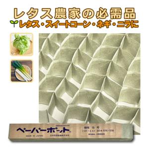 ペーパーポット V-4 200冊 (個) 162鉢 生分解性 紙筒 播種 種まき 育苗