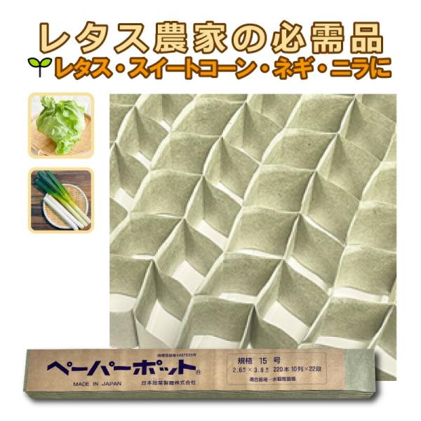 ペーパーポット No.15 15号 1冊 (単品) 220鉢 生分解性 紙筒 播種 種まき 育苗 苗...