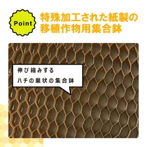 チェーンポット CP303 1冊 (単品) 株...の詳細画像3
