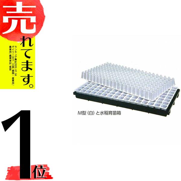 アウトレット タキイ 根巻防止 セルトレイM型 白 128穴 8×16列 100枚入り 300×59...