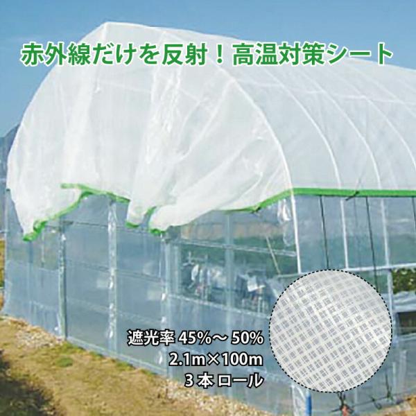3本 タキイ涼感ホワイト 50 2.1m×100m タキイ種苗 不織布 遮熱 遮光 涼しい 軽い 高...