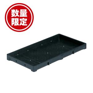 10枚セット) 中成苗用 育苗箱 1300穴 水稲用 内寸580×280×30 (法人個人