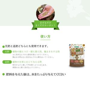 ハイポネックス Plantia プランティア ...の詳細画像1