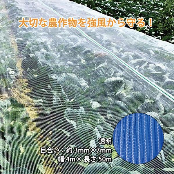 ダイオ タイフーンカバー 透明 4m×50m 137 防風ネット 防鳥 防雹 ゲリラ豪雨対策 べたが...