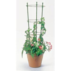 リング支柱 120cm 直径 7mm×120cm 植木鉢用 第一ビニール 金TD