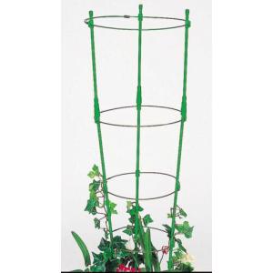 ぐんぐんリング 小 45cm〜60cm (2セット入) 植木鉢用 第一ビニール