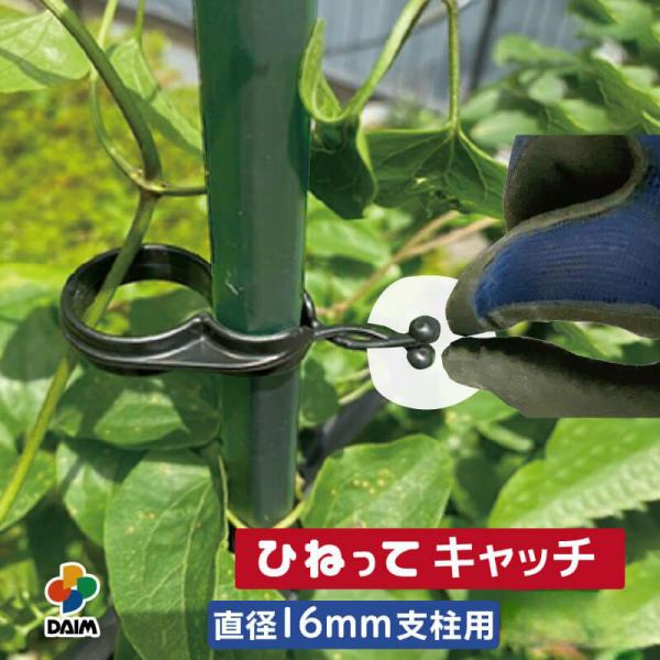 daim ひねってキャッチ16mm支柱用 10個入 結束 農業 園芸 誘引資材 クリップ 第一ビニー...