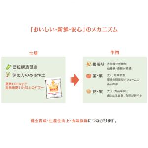 20袋 息吹農法グレードLD 1kg 透水性 ...の詳細画像1