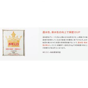 20袋 息吹農法グレードLD 1kg 透水性 ...の詳細画像2