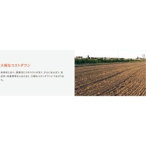 20袋 息吹農法グレードLD 1kg 透水性 ...の詳細画像5