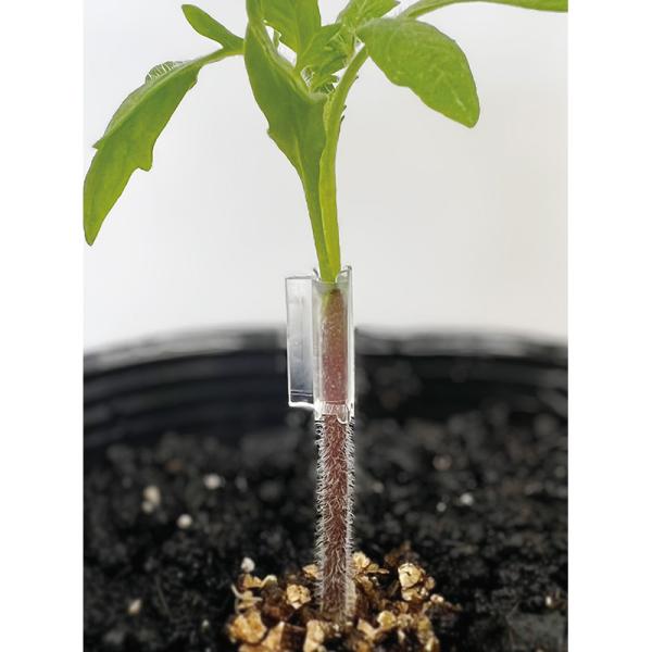 1000個 紬 17号 接ぎ木クリップ 内径1.7mm トマト ナス ピーマン ナス科 野菜 接木 ...