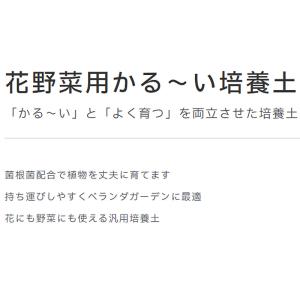 50袋 花野菜用かる〜い培養土 40L ココヤ...の詳細画像2