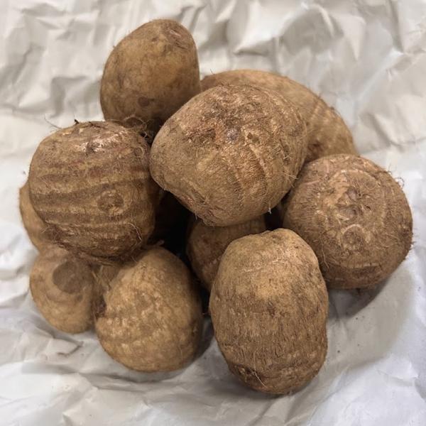 3kg 土垂 特選 特急M 種芋 種子 千葉県産 どだれ サトイモ 里芋 栽培用 吉S DZ