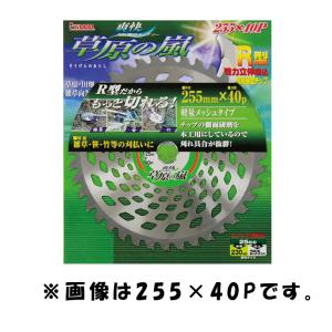 草原の嵐 280×44P 99073 チップソー 雑草 笹 竹 草原 田畑 刈払い 超高硬度チップ 軽量 メッシュ 小山金属工業所 アイウッド H