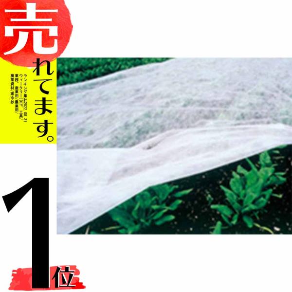 寒冷紗 白 180cm×10m シN DZ