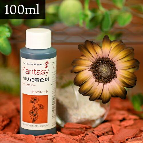 パレス化学 切花着色剤ファンタジー 100ml チョコレート 切り花 着色 レインボー フラワー ア...