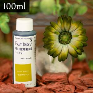 パレス化学 切花着色剤ファンタジー 100ml モスグリーン 切り花 着色 レインボー フラワー アレンジ 切り花着色剤 Z