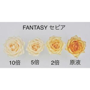 パレス化学 切花着色剤ファンタジー 5L クリ...の詳細画像1